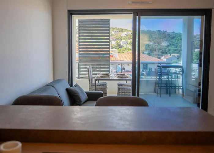 T2 Proche Centre Et Terrasse Apartment Propriano (Corsica)